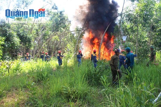 Diễn tập phòng cháy chữa cháy rừng cấp cơ sở tại xã Nghĩa Thắng (Tư Nghĩa) năm 2015.