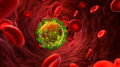 Một tế bào bị nhiễm HIV