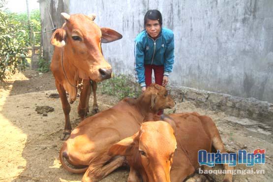Chị Đinh Thị Rin chăm sóc đàn bò của gia đình.
