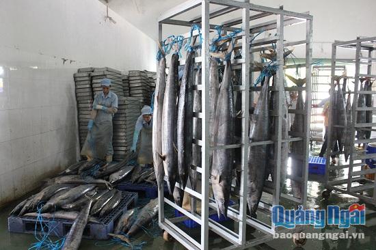 Khâu chế biến và bảo quản hải sản tại Công ty Phương Thảo