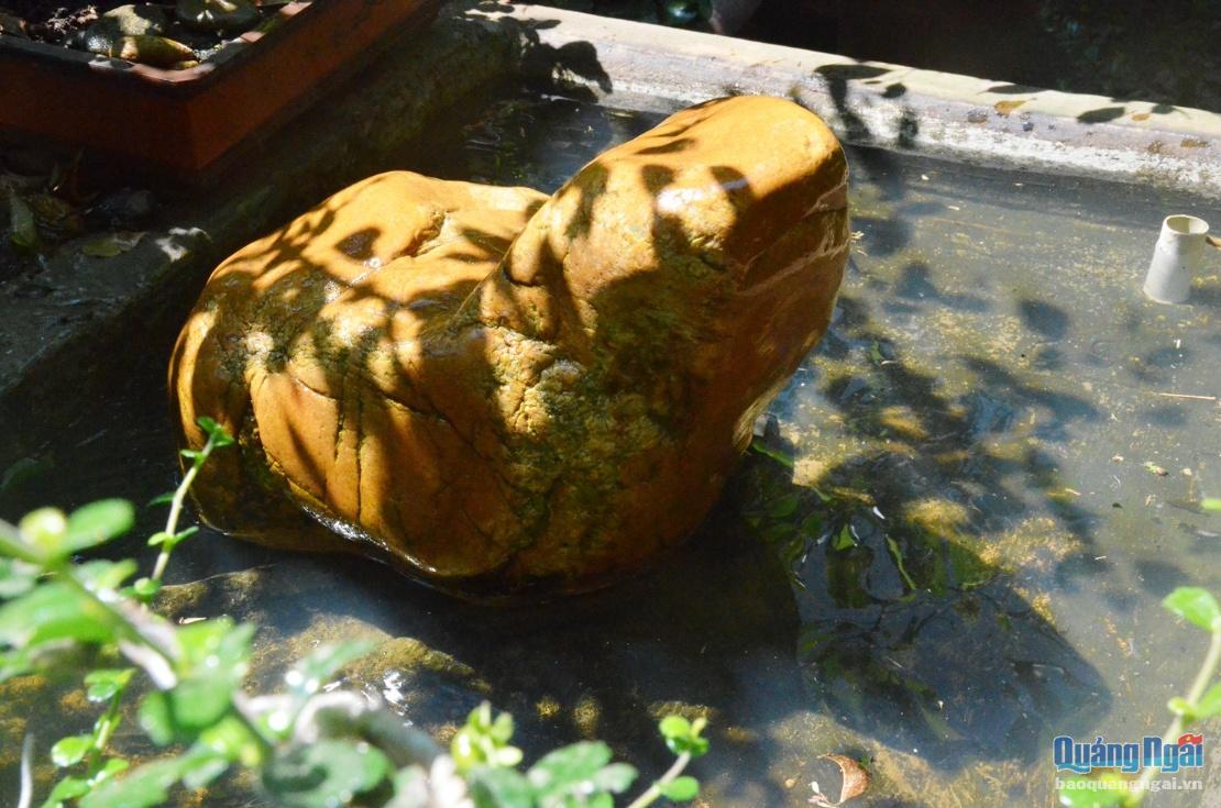 Phiến đá có hình thù giống con rùa được anh Thạch đặt trước nhà. Ảnh: Hiền Linh.