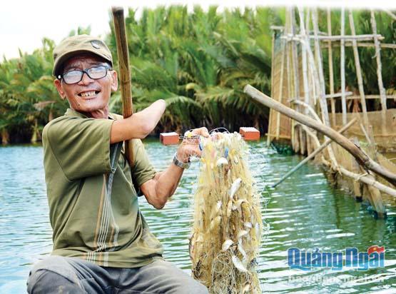 Nguồn lợi thủy sản ở rừng ngập mặn xã Bình Phước là nguồn sinh kế của rất nhiều hộ dân.