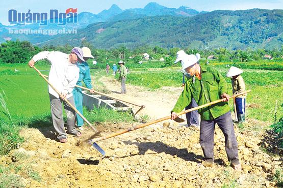  Người dân xã Tịnh Giang hăng hái góp sức làm đường nội đồng.