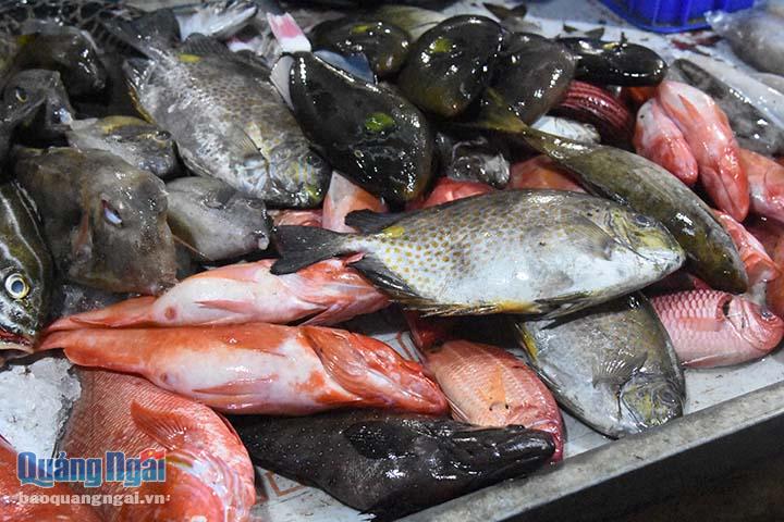 Hàng chục hải sản tươi sống được bày bán