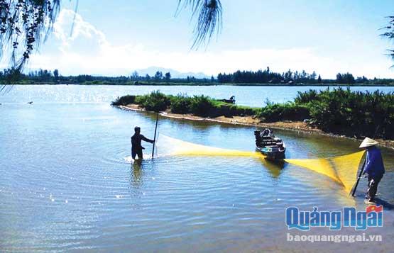 Nhờ có dòng sông Trà Bồng chảy qua nên một số hộ dân xã Bình Dương (Bình Sơn) có được nguồn thu nhập ổn định nhờ nghề chài lưới. 