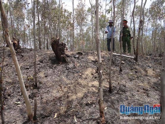 Hiện trường nơi phát hiện xác anh Phùng Hòa Phước bị chết cháy