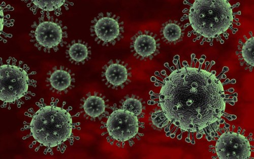 Vi rút cúm A/H5N1 rất nguy hiểm cho sức khoẻ.