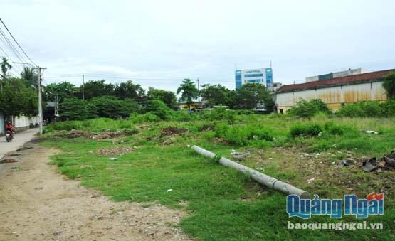  Khu đất  trên đường Nguyễn Thụy được cấp để xây dựng Trung tâm phân phối hàng hóa của Nhà máy bia Sài Gòn - Quảng Ngãi bị bỏ hoang nhiều năm, gây lãng phí quỹ đất.
