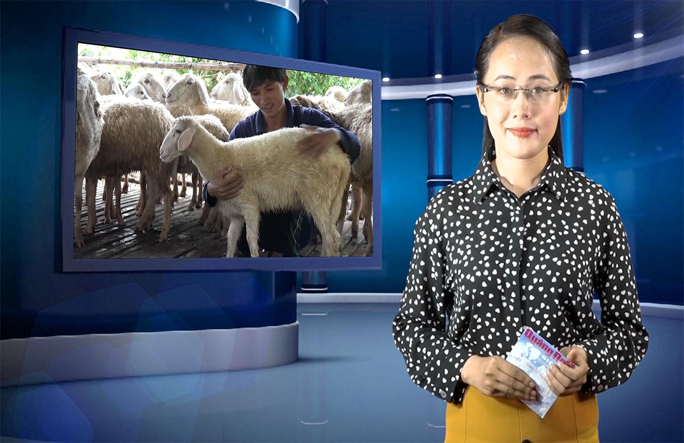 Bản tin truyền hình: Quảng Ngãi tuần qua (9.10.2016)