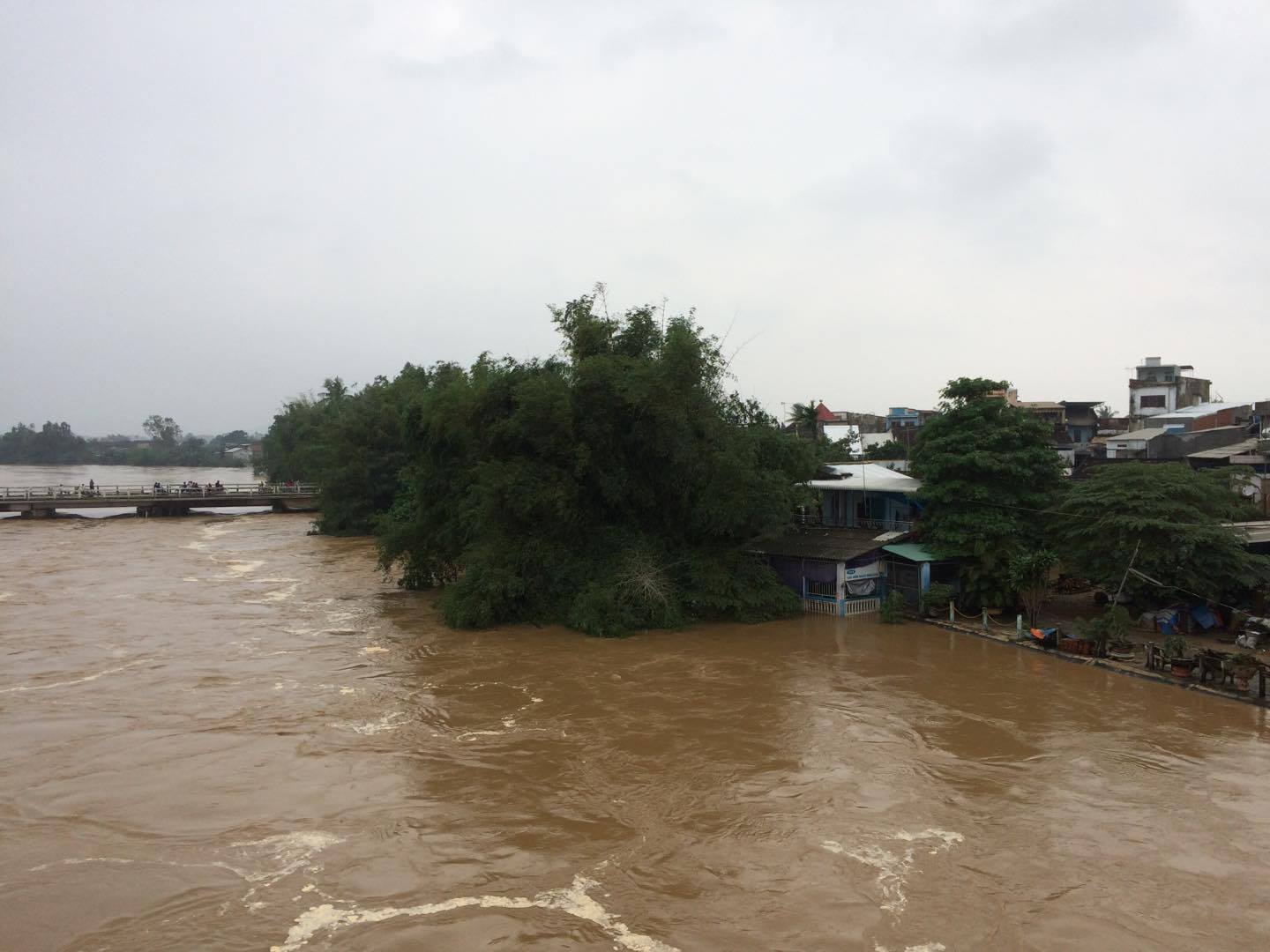 Video: Lũ ở các sông trong tỉnh trong sáng 8.12