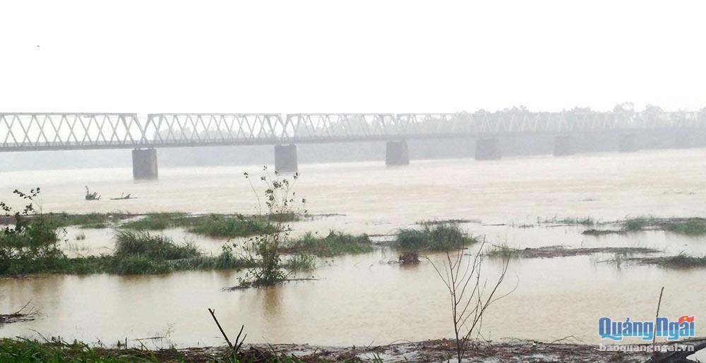 Nước trên sông Trà Khúc đang lên cao (ảnh chụp trưa 1.12)