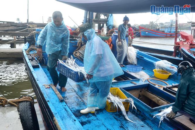 Phát triển thủy sản và dịch vụ hậu cần nghề cá là động lực để xã Nghĩa Phú hoàn thành và duy trì mục tiêu xã nông thôn mới.