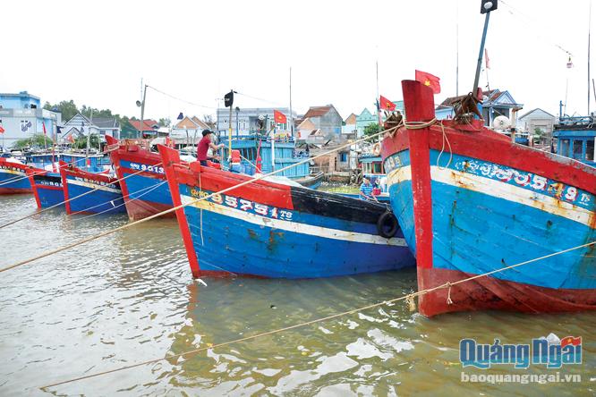 Nhiều tàu cá của ngư dân Bình Châu (Bình Sơn) chưa thể ra khơi vì thiếu nguồn lao động.