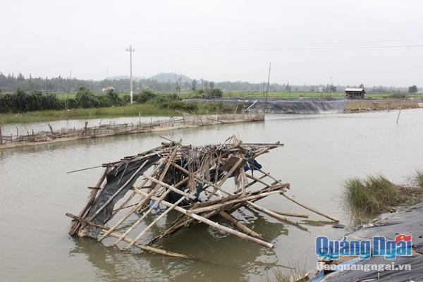 Hơn 50 hồ nuôi tôm bị bỏ hoang gây ra sự ngổn ngang trên dòng sông Kinh