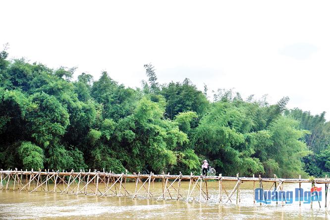 Chiếc cầu tre vào xóm Lân, xã Tịnh Long bắc qua dòng sông Trà Khúc yên bình trong mùa hạ.