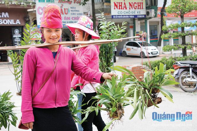   Những cô gái Thái Đen (Sơn La) xuống phố bán hoa lan rừng