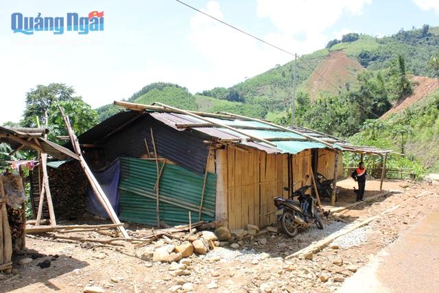 49 hộ dân ở thôn Trà Khương hiện đang dựng nhà sống tạm ở ven đường Trà Hiệp- Trà Lâm