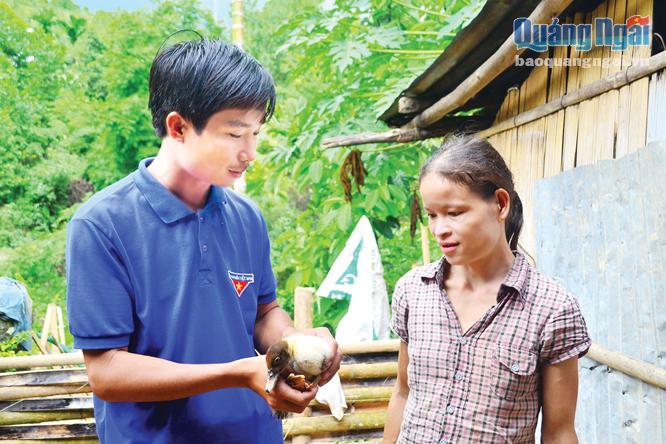  Tổng phụ trách đội Huỳnh Văn Kỳ đang hướng dẫn kỹ thuật chăm sóc vịt xiêm cho gia đình chị Hồ Thị Hạnh ở thôn Vàng, xã Trà Trung.