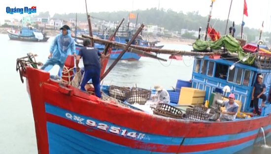 Video: Ngư dân vội vã cho tàu thuyền vào bờ tránh bão