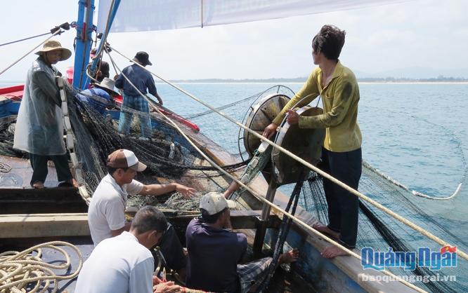 Ngư dân hành nghề vây rút đang kéo lưới