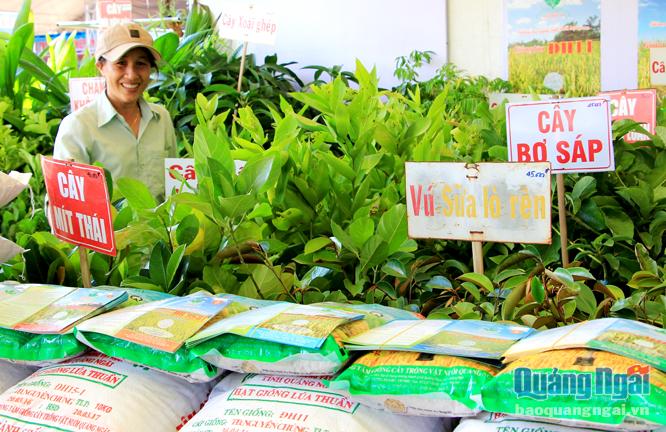 Doanh nghiệp quảng bá, giới thiệu giống cây trồng, mặt hàng nông sản  ở phiên chợ hàng Việt tổ chức tại huyện Mộ Đức.