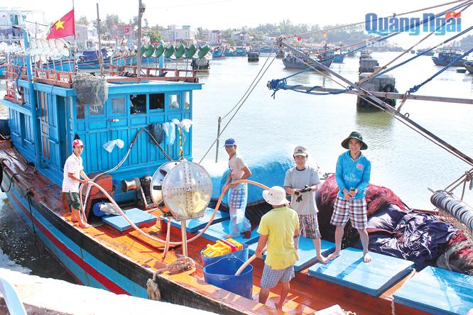 Ở xã biển Phổ Quang (Đức Phổ), hơn 70% ngư dân là thanh niên trẻ tuổi.