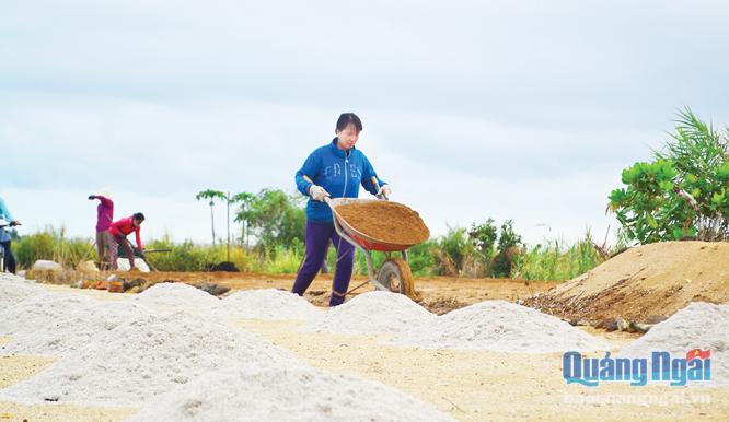 Huyện Lý Sơn cần tuyên truyền người dân thực hiện giải pháp trồng hành, tỏi không cần thay cát, đất bazan theo đề tài khoa học đã nghiên cứu thành công.