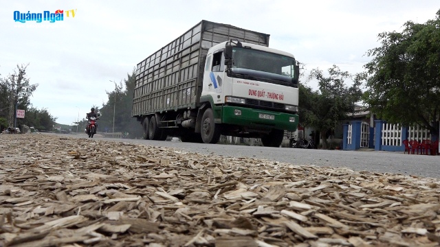 Video: Bất an với xe dăm gỗ 'tung hoành' trên đường