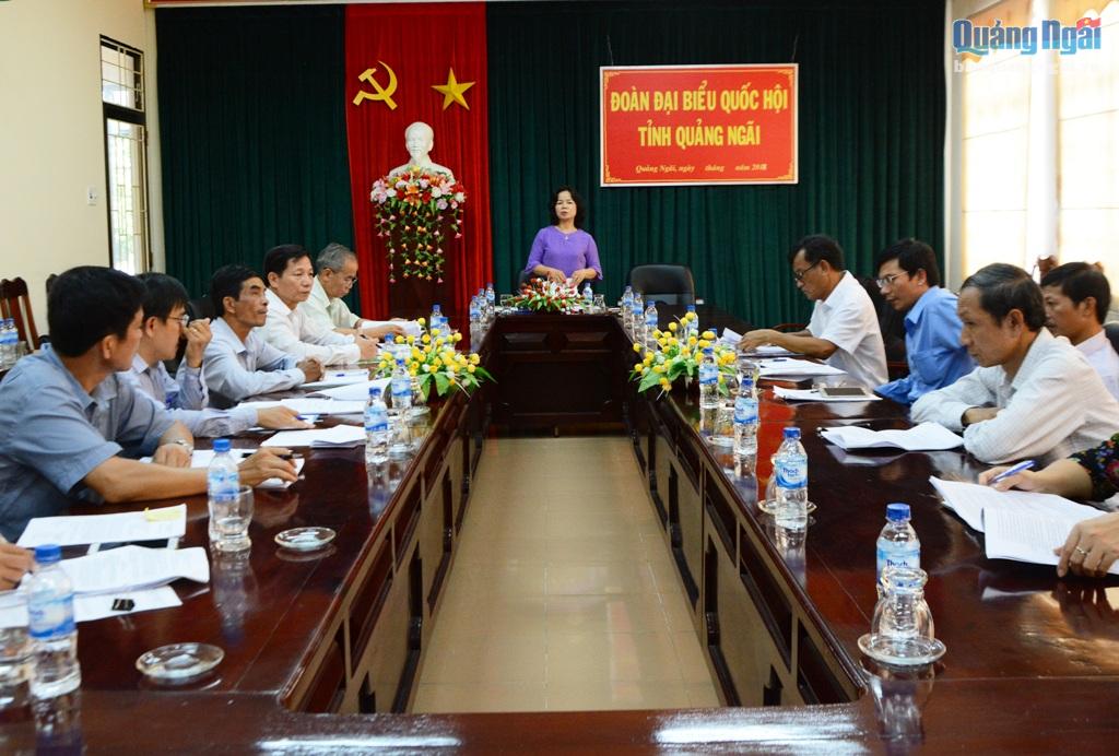 Phó trưởng đoàn chuyên trách Đoàn ĐBQH tỉnh Phạm Thị Thu Trang phát biểu tại buổi lấy ý kiến.