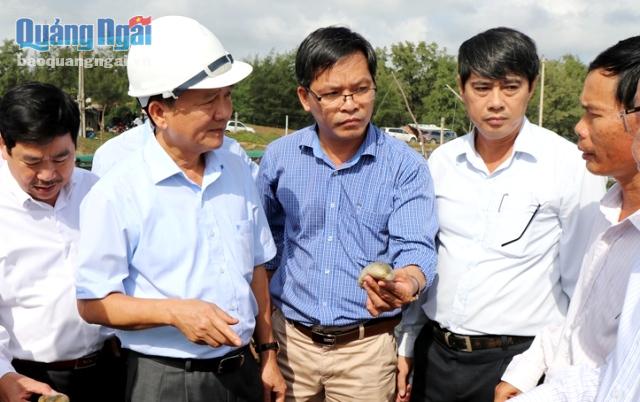 Chủ tịch UBND tỉnh Trần Ngọc Căng kiểm tra mô hình nuôi hải sâm ở huyện Mộ Đức