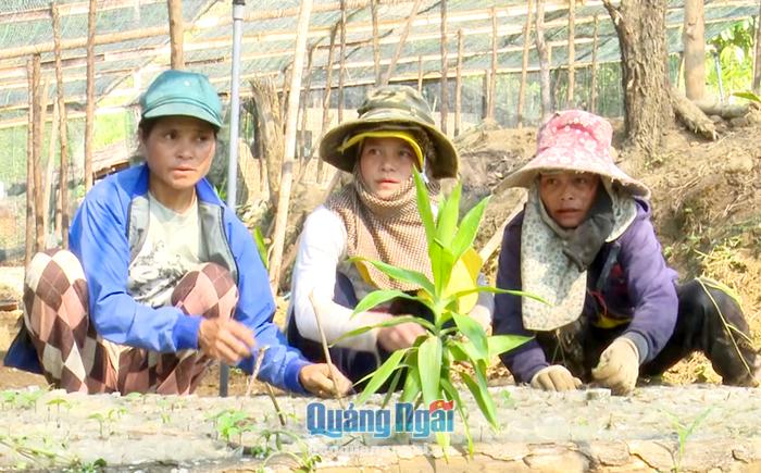 Chị Hồ Thị Trang (giữa) hướng dẫn chị em cách trồng trọt.