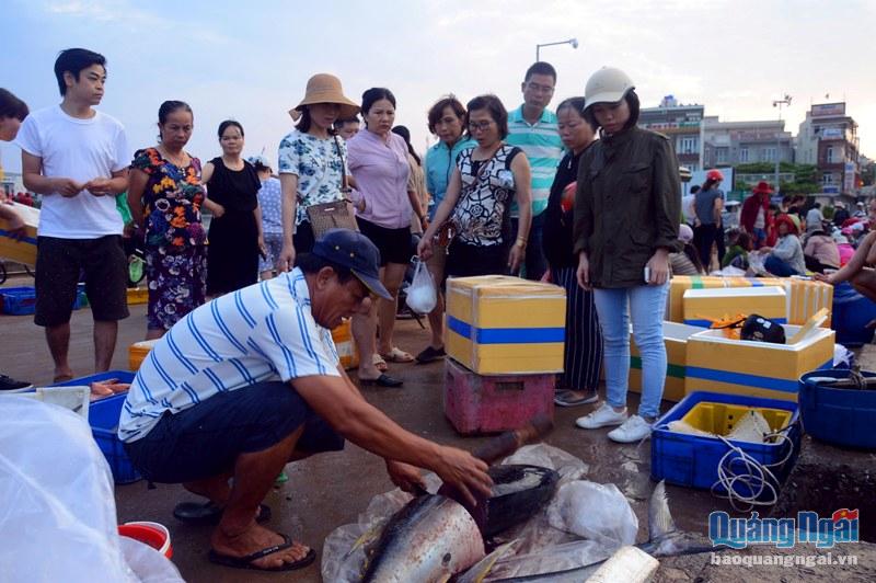 Nhiều người dân, du khách dậy thật sớm để mua được những con cá tươi ngon nhất được bán ngay tại cảng.