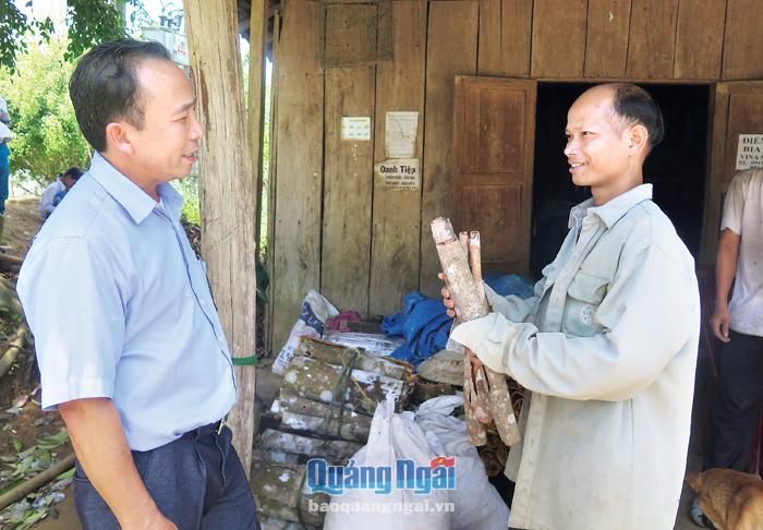 Mô hình phân công giúp hộ nghèo không từ ngân sách Nhà nước ở huyện Tây Trà đã góp phần trong công tác xóa đói giảm nghèo bền vững.