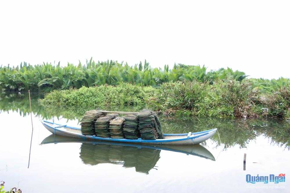 Ngoài nghề đan những tấm tranh từ dừa, người dân nơi đây còn có thêm thu nhập đáng kể từ nghề thả lưới trên sông. Cứ tầm 4 giờ chiều hằng ngày, lẩn khuất trong các rặng dừa, những người nông dân lại nhẹ nhàng xuôi thuyền đi kéo lưới rập.