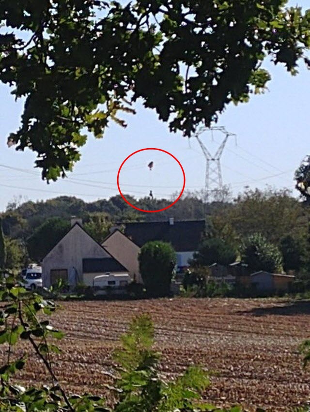 Phi công Bỉ bị treo lơ lửng trên đường điện cao thế do dù vướng phải dây (Ảnh: Twitter)