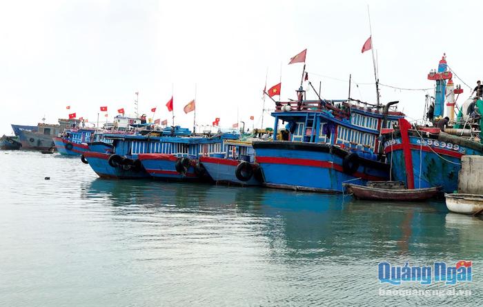 Cảng Tịnh Hòa (TP.Quảng Ngãi) chỉ phù hợp với việc neo đậu, tránh trú, chứ chưa đáp ứng nhu cầu dịch vụ hậu cần nghề cá cho ngư dân.