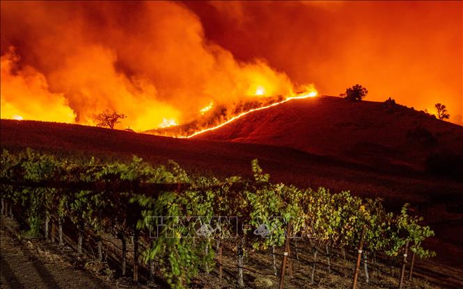 Lửa cháy dữ dội gần Geyserville, bang California (Mỹ) ngày 24/10/2019. Ảnh: AFP/TTXVN