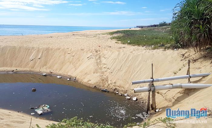 Người dân Nam Phước, phường Phổ Vinh (TX.Đức Phổ) nuôi tôm và xả thải gây ô nhiễm ngay trong khu vực hành lang bảo vệ bờ biển.