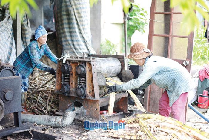  Lò đường ông Trịnh Huệ, ở thôn Tiên Đào, xã Bình Trung  (Bình Sơn) đã giúp người dân trong vùng tiêu thụ mía mà nhà máy đường không thu mua.                       Ảnh: THIÊN HẬU