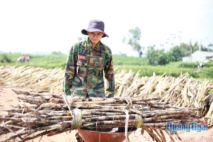 Lò đường ông Trịnh Huệ, ở thôn Tiên Đào, xã Bình Trung (Bình Sơn) đã giúp người dân trong vùng tiêu thụ mía mà nhà máy đường không thu mua. Ảnh: THIÊN HẬU