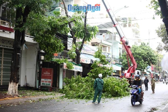 Một cây xanh trên đường Nguyễn Tự Tân sáng nay đã đổ vào nhà người dân, khi sức gió quá lớn. 