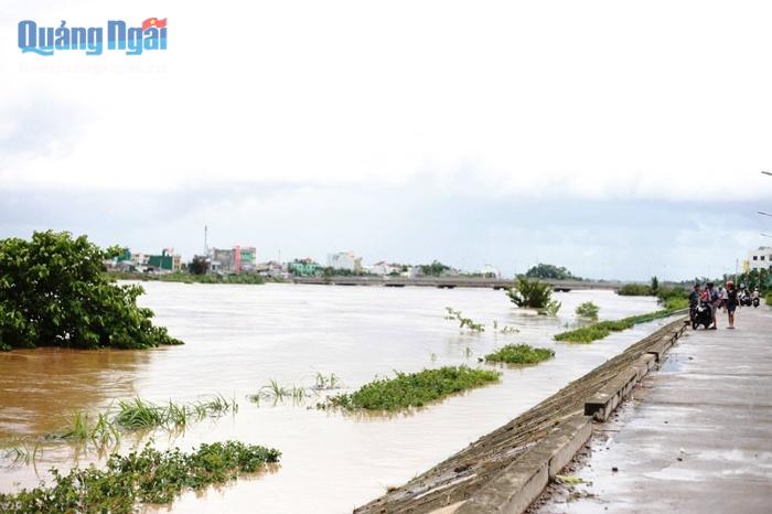 Mực nước trên sông Trà Bồng (cầu thị trấn Châu Ổ) vào chiều nay dâng cao. Nhiều người dân địa phương rủ nhau đi xem nước.