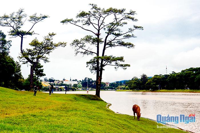 Hồ Xuân Hương là một hồ nước đẹp nằm giữa trung tâm thành phố Đà Lạt. Hồ mang tên Xuân Hương với nghĩa là hương của mùa Xuân. Xung quanh hồ có rừng thông và các bãi cỏ, vườn hoa. Đây là địa điểm du khách ưa thích đi dạo bộ hoặc xe ngựa khi đến tham quan thành phố Đà Lạt.