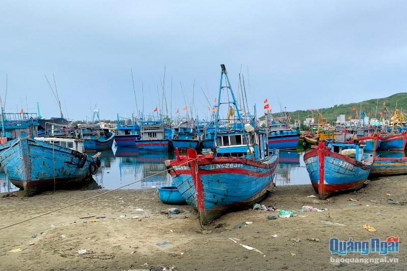 Nhiều khu vực Càng cá Sa  Huỳnh bị bồi lấp đã làm khó ngư dân và gây ảnh hưởng đến cuộc sống của những người dân sống nhờ nghề biễn