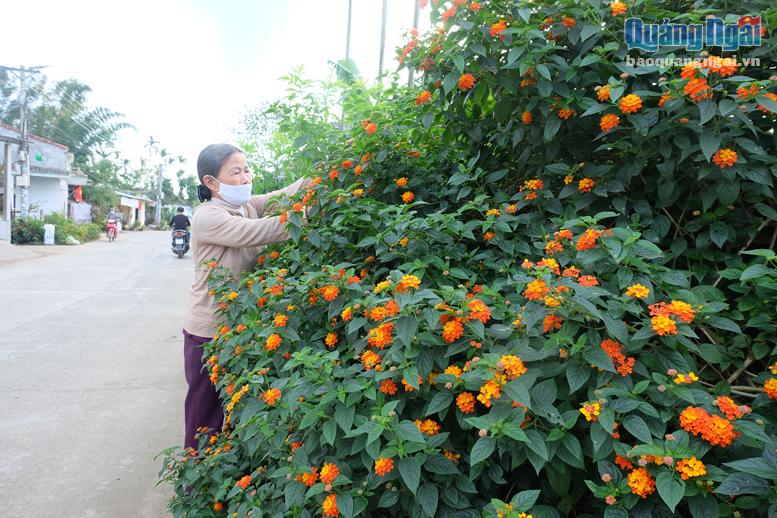 Người dân chăm sóc các luống hoa trồng dọc đường ở thôn Đông Mỹ, xã Nghĩa Hiệp (Tư Nghĩa).