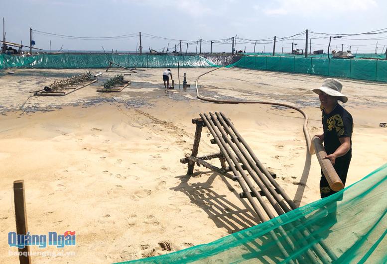 Người dân ở vùng nuôi tôm xã đức Phong (Mộ Đức) tập trung vệ sinh hồ để chuẩn bị thả giống trong vụ nuôi thủy sản 2021.