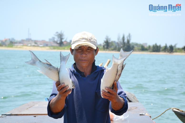 Thả rớ từ 5 giờ sáng đến 12 giờ trưa, nhưng ngư dân Võ Văn Chanh chỉ thu về được 4 con cá cồi.                 Ảnh: Ý THU