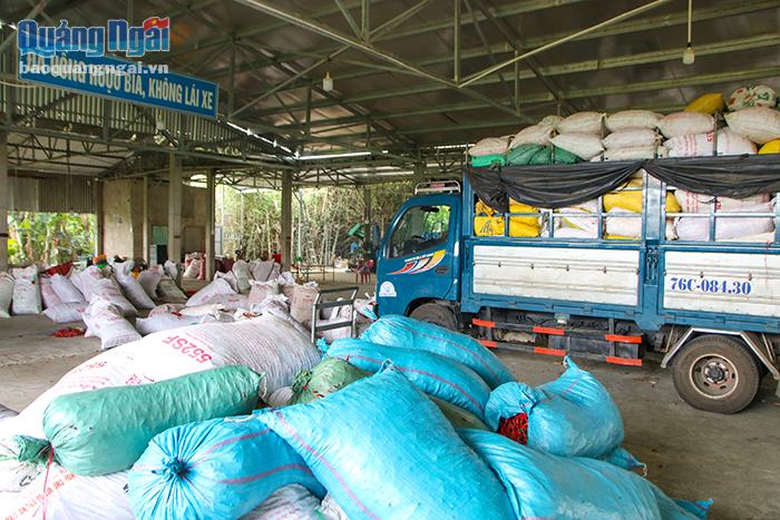 Ớt không xuất khẩu được, chỉ có thể bán ra số lượng ít cho các tỉnh lân cận như Bình Định để làm tương ớt. Số còn lại sẽ được đem phơi khô