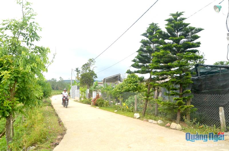Đường nông thôn ở tổ dân phố Nho Lâm, phường Phổ Hoà (TX.Đức Phổ) khang trang, sạch đẹp.