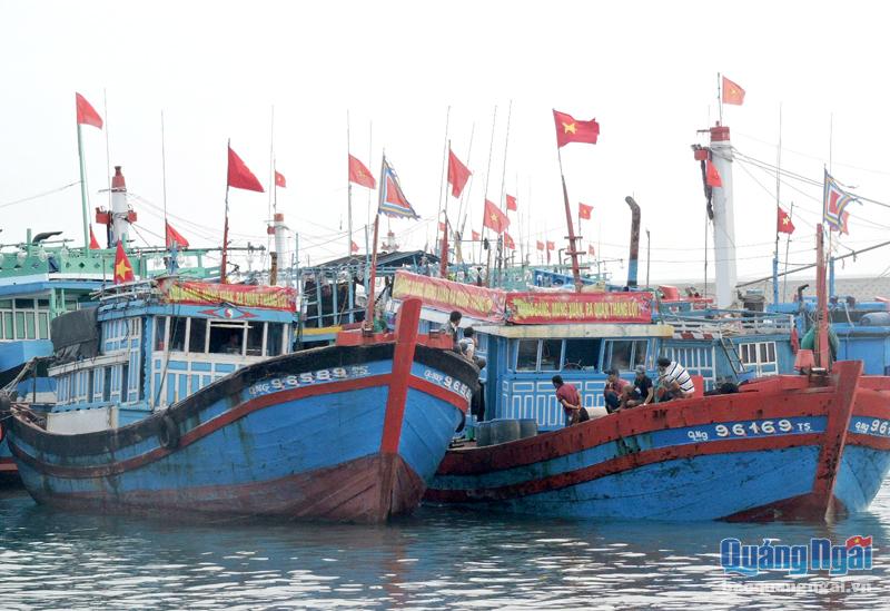 Nhiều tàu cá của ngư dân Lý Sơn đã về bờ để tham gia bầu cử.  ẢNH: VĂN MỊNH